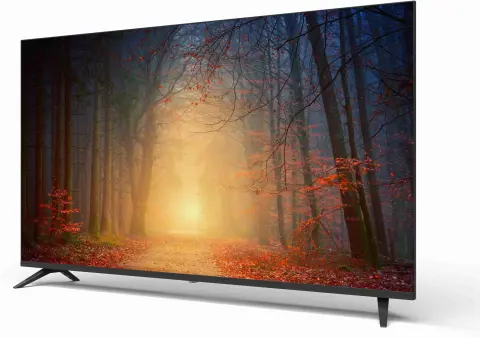 Profilo 65PA515E Televizyon